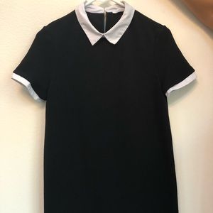 Zara Women Dress with Collar